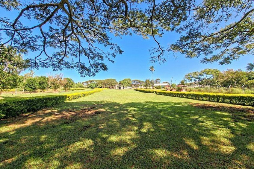 A park with a well-maintained lawn, a hedge, and a tree with dense foliage. 4