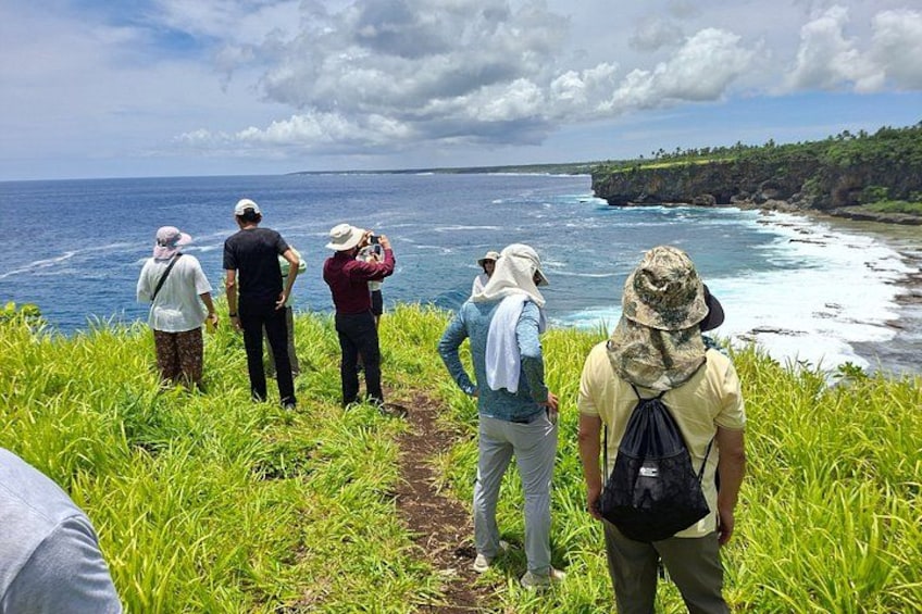 A group of people standing on a grassy path overlooking the ocean. 1