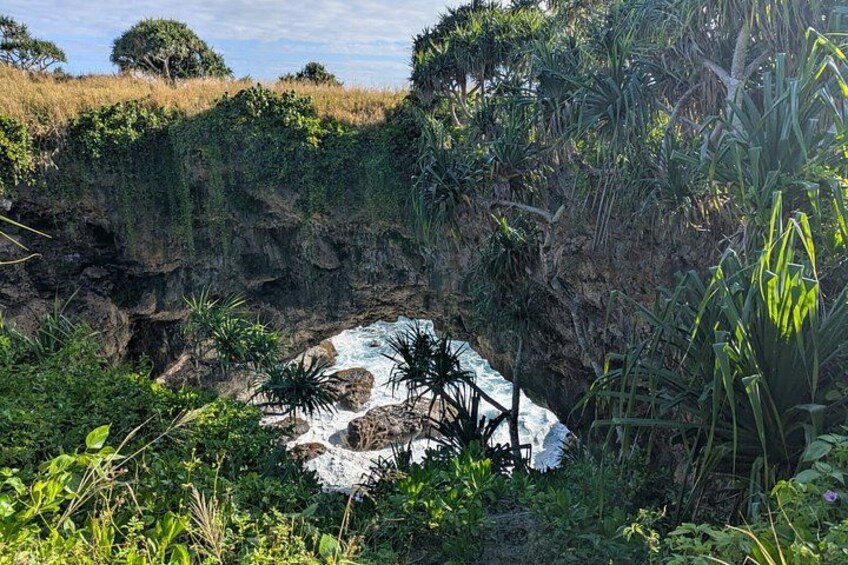 A rocky coastal landscape with dense vegetation and a small waterfall. 5