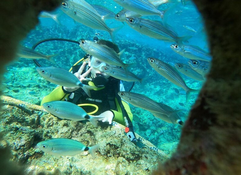 Kemer: Beginner-Friendly Eco Diving Experience with Lunch 1