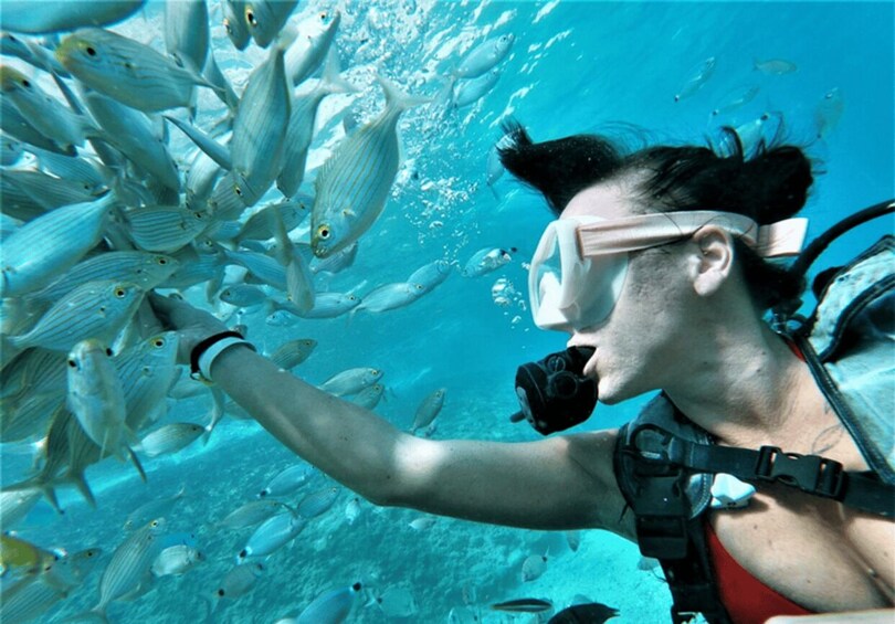 Picture 13 for Activity Kemer: Beginner-Friendly Eco Diving Experience with Lunch 3