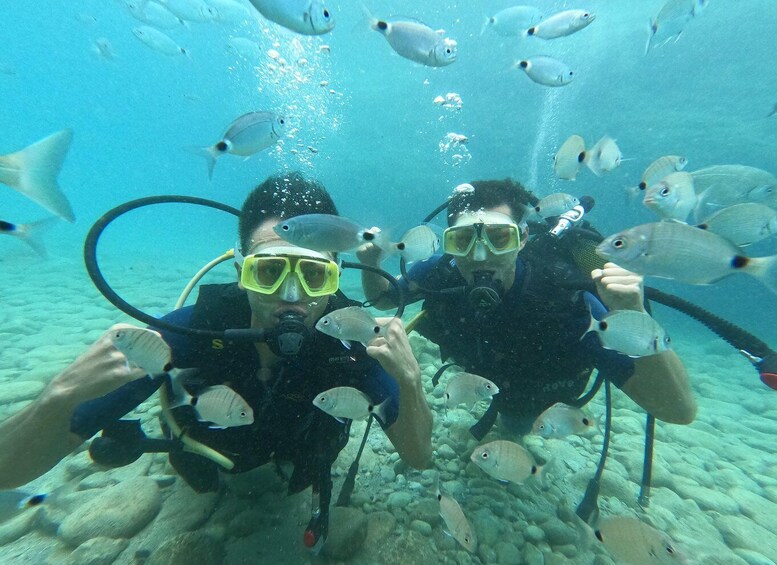 Picture 10 for Activity Kemer: Beginner-Friendly Eco Diving Experience with Lunch 2