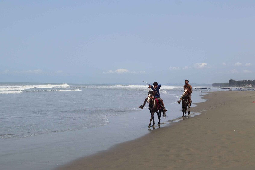 Picture 4 for Activity South Iceland: Horseback Riding Tour with Waterfall Stop 5