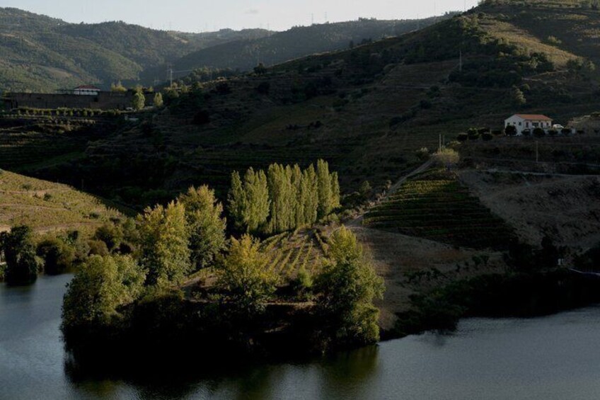 Amante Porto Private Car Tour Experience 4