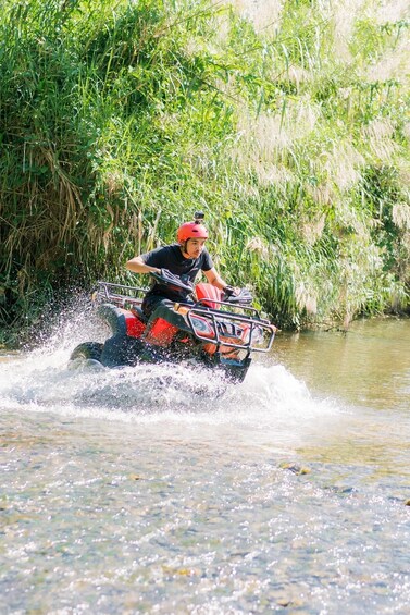 Picture 5 for Activity From Phuket to Phang Nga: Karsts, Caves, Currents, Trails 3