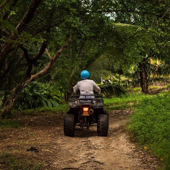 Picture 4 for Activity From Phuket to Phang Nga: Karsts, Caves, Currents, Trails 5