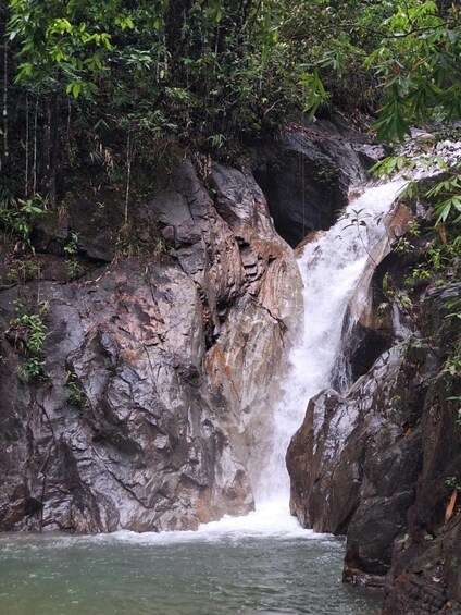 Picture 7 for Activity From Phuket to Phang Nga: Karsts, Caves, Currents, Trails 2