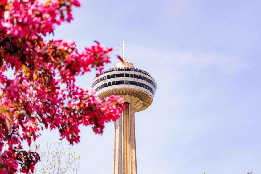 Picture 2 for Activity Niagara Falls + Skylon Tower + Boat + Vineyards + IMAX movie 3