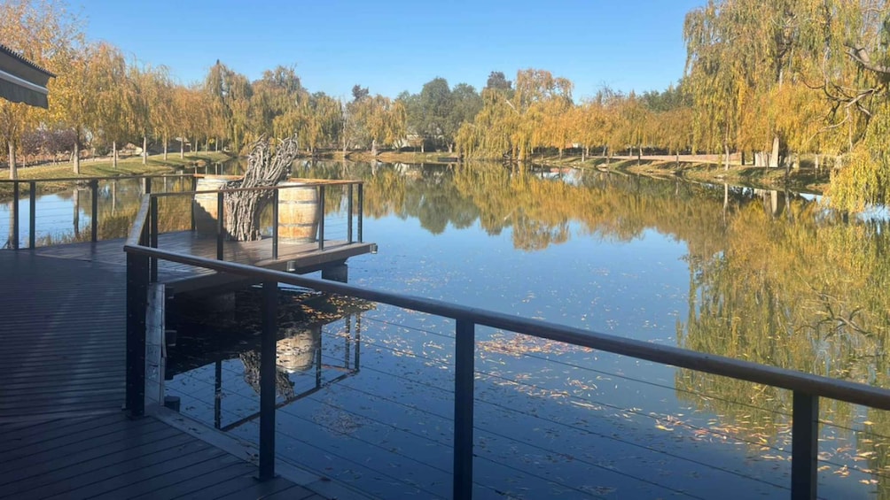 Mendoza: Private Cooking Class with Winery Tour & Lunch 1