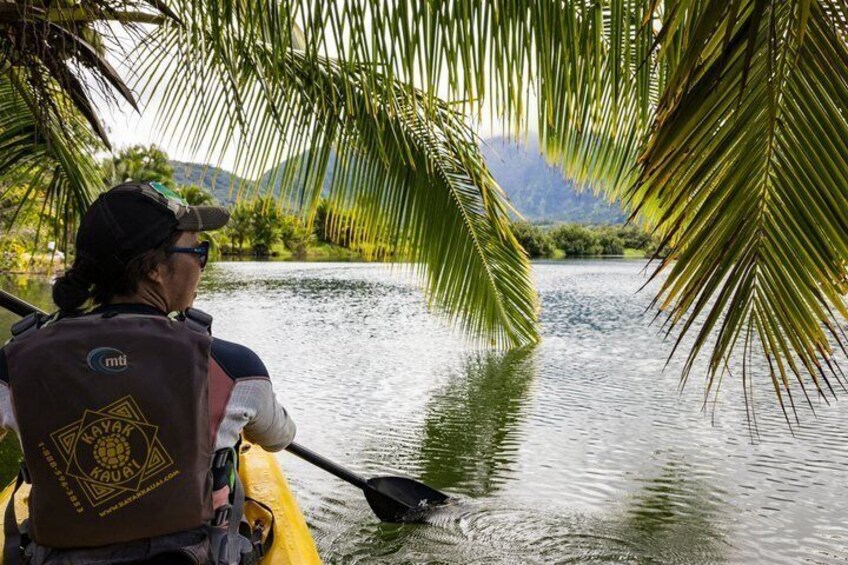 Hanalei River Paddle and Bay Snorkel Tour with Lunch Included 3