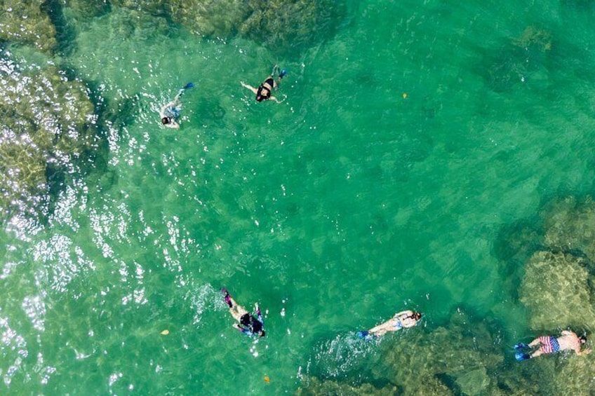 Hanalei River Paddle and Bay Snorkel Tour with Lunch Included 4