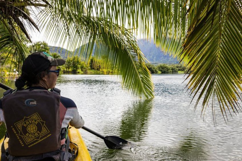 Hanalei River Paddle and Bay Snorkel Tour with Lunch Included 2