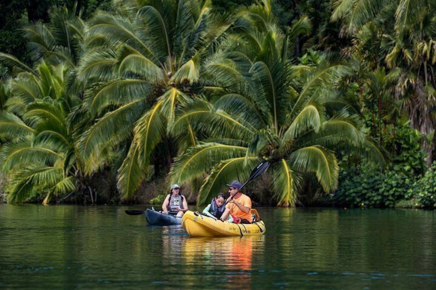Hanalei River Paddle and Bay Snorkel Tour with Lunch Included 2