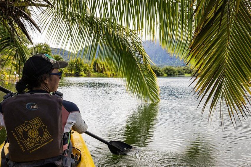 Hanalei River Paddle and Bay Snorkel Tour with Lunch Included 2