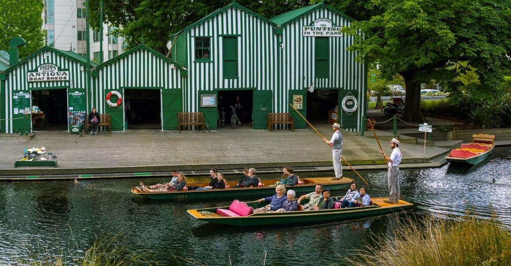 Picture 2 for Activity Christchurch - Punting on the Avon 2