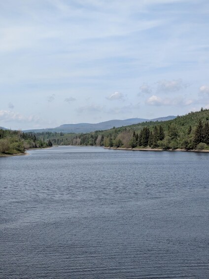 A calm river with a forested hillside in the background. 2