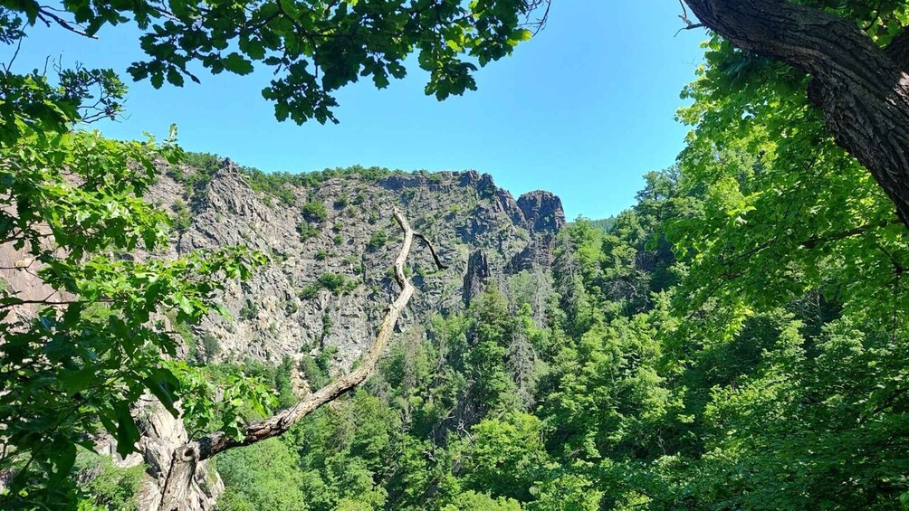 Multi-day hike on the Harzer Försterstieg 1