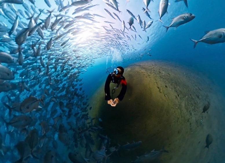 Bali: Private Scuba Diving Experience for Beginners 1