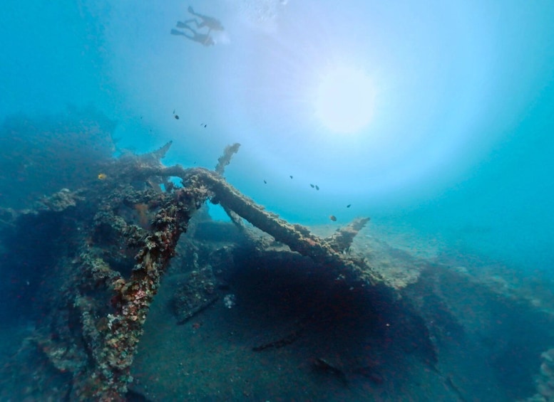 Picture 6 for Activity Bali: Private Scuba Diving Experience for Beginners 3