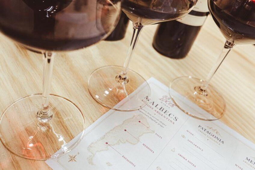 Malbec Across Argentina: Wine Tasting with a Sommelier 3