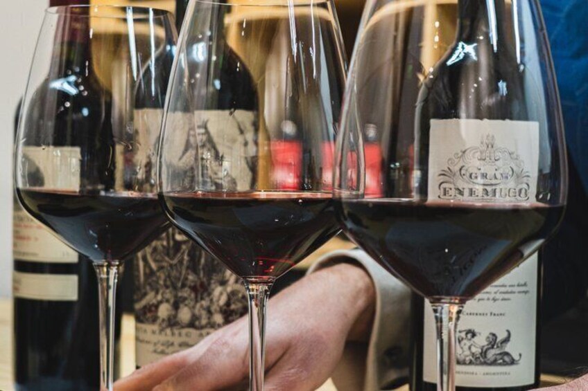 Malbec Across Argentina: Wine Tasting with a Sommelier 5