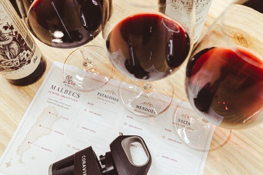 Malbec Across Argentina: Wine Tasting with a Sommelier 1