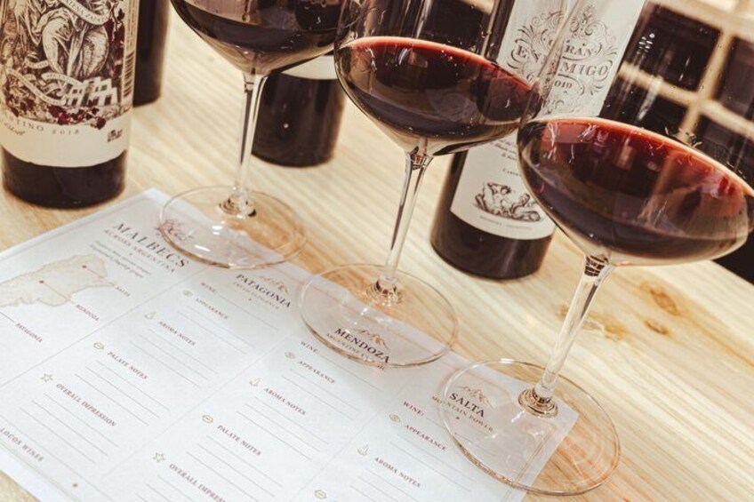 Malbec Across Argentina: Wine Tasting with a Sommelier 2