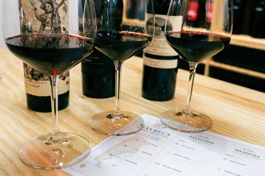 Malbec Across Argentina: Wine Tasting with a Sommelier 4