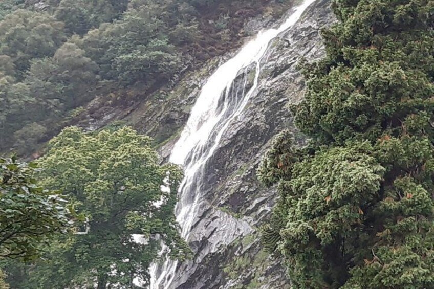 Private Tour of Wicklow, Glendalough and Powerscourt Gardens 4