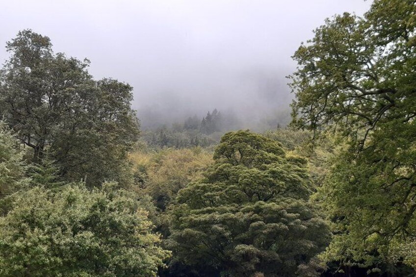 Private Tour of Wicklow, Glendalough and Powerscourt Gardens 5