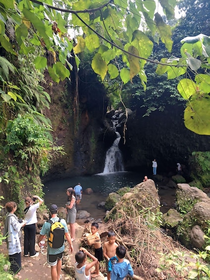 Picture 18 for Activity Lombok: Green Lombok Adventure: Tetebatu & Benang Waterfalls 5