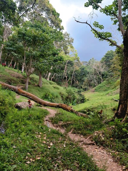 Picture 17 for Activity Lombok: Green Lombok Adventure: Tetebatu & Benang Waterfalls 4