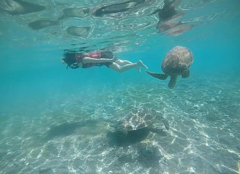 A person swimming underwater near a turtle. 5