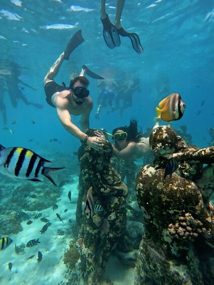 Divers exploring an underwater coral reef with various fish species. 4