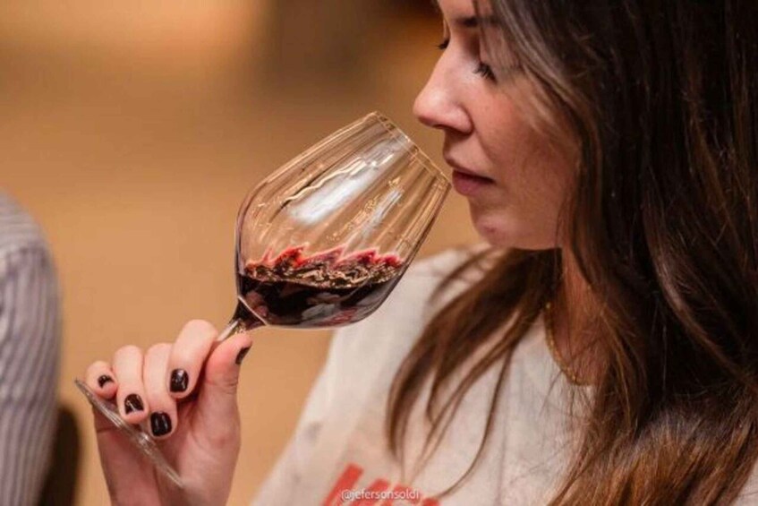 Picture 2 for Activity From Gramado: Brazilian Wine Tasting in Vineyard Valley 2