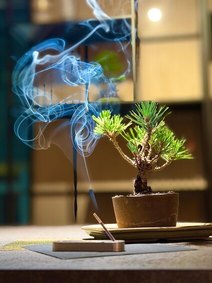 A bonsai tree in a pot with smoke rising from a nearby incense stick. 3