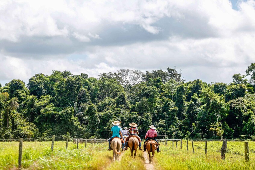 Palmas del Mar: Nature Trail Horseback Riding Tour 1