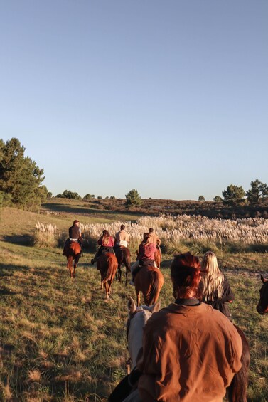 Picture 4 for Activity Palmas del Mar: Nature Trail Horseback Riding Tour 3