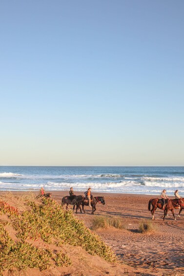 Picture 5 for Activity Palmas del Mar: Nature Trail Horseback Riding Tour 4