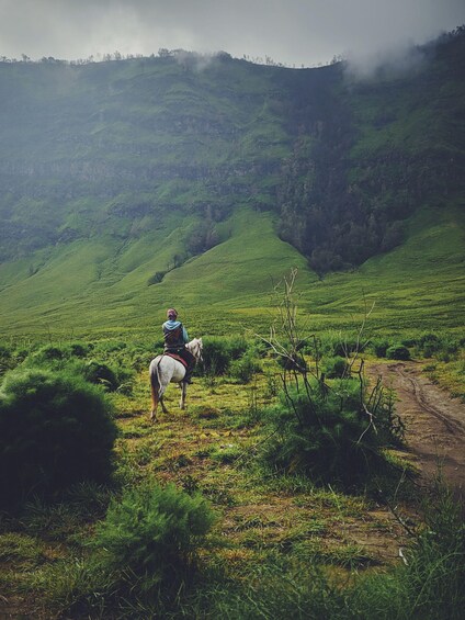 Picture 3 for Activity Palmas del Mar: Nature Trail Horseback Riding Tour 2
