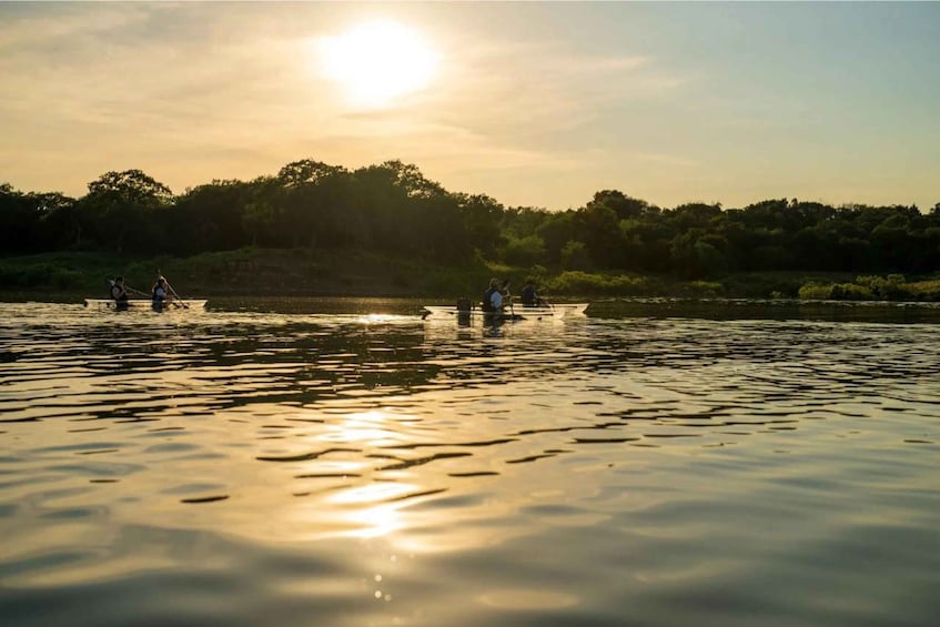 Picture 2 for Activity Grapevine Lake: Clear Kayak Tour 1