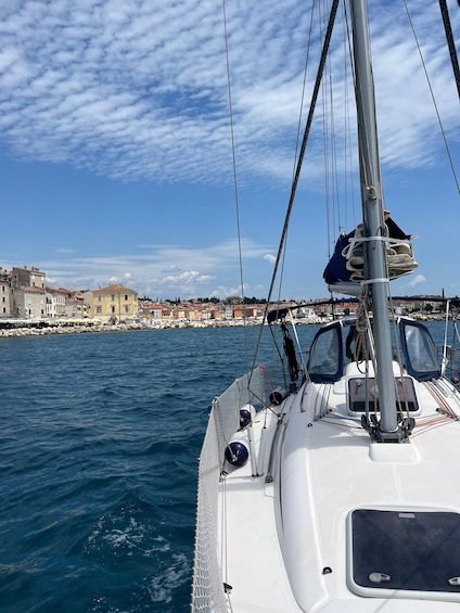 Rovinj: Half day Sailing experience and swimming 2
