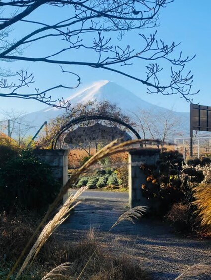 Picture 8 for Activity From Kyoto: Mount Fuji Private Full-Day Guided Tour 2