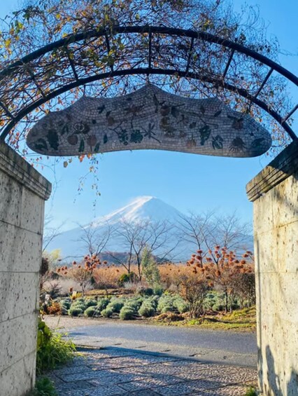 Picture 9 for Activity From Kyoto: Mount Fuji Private Full-Day Guided Tour 3