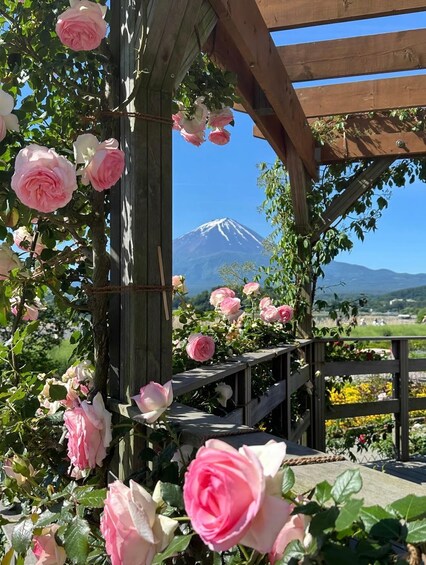 Picture 10 for Activity From Kyoto: Mount Fuji Private Full-Day Guided Tour 4