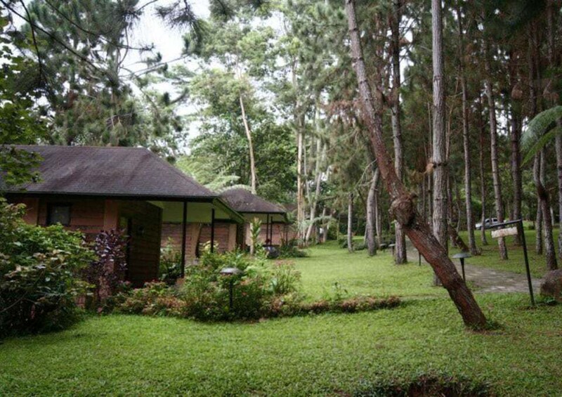 Picture 2 for Activity Davao: Eden Nature Park Day Trip with Transfers 2