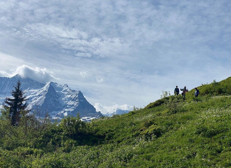 Picture 4 for Activity From Interlaken: 4-Day Via Alpina Trek with Guide 3