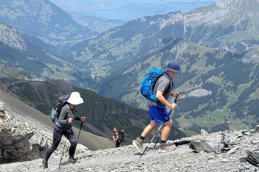 Picture 5 for Activity From Interlaken: 4-Day Via Alpina Trek with Guide 4