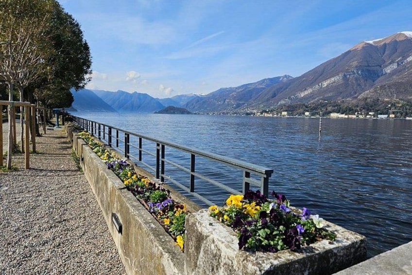 A lakeside walkway with flower planters, a railing, and mountains in the background. 5