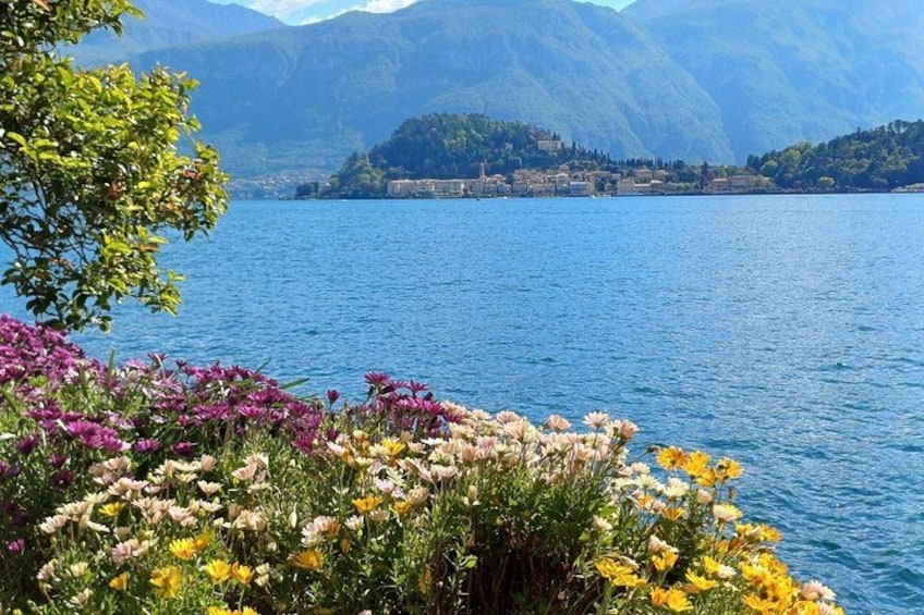 A lake with mountains in the background and colorful flowers in the foreground. 4